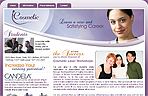 Cosmetic Laser Workshops.com